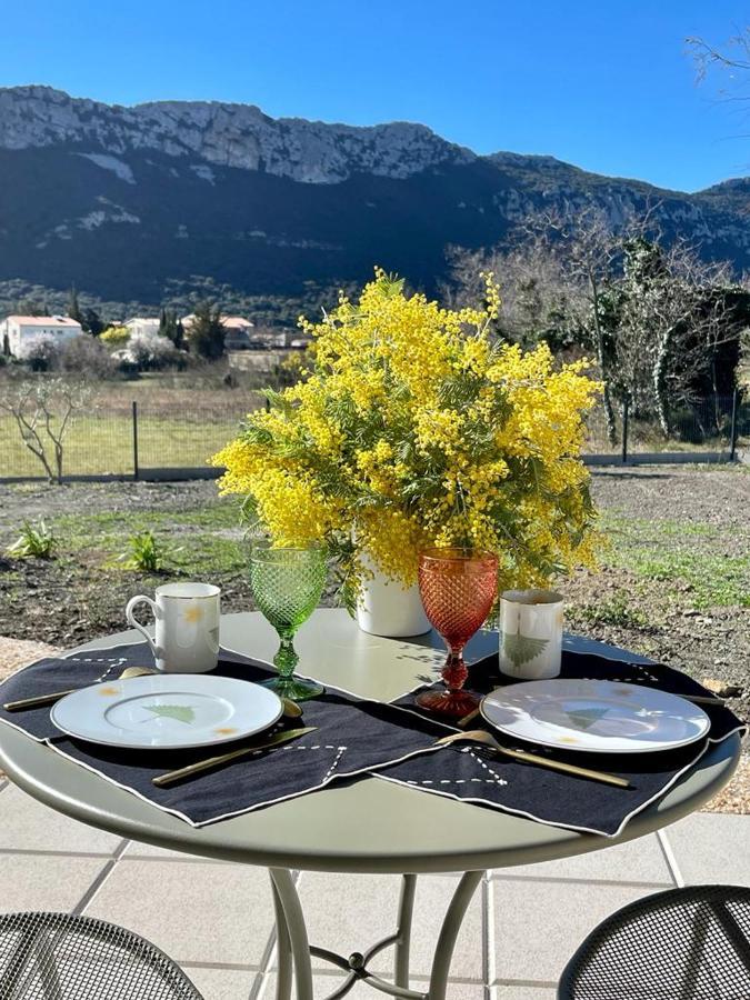 Bed and Breakfast Domaine Mas Terra Saint-Paul-de-Fenouillet Esterno foto