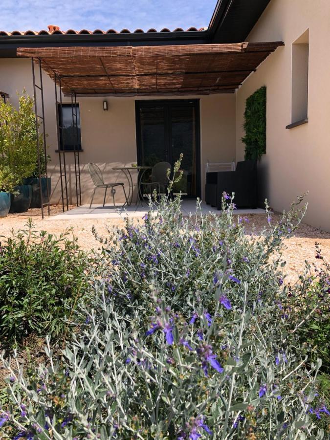Bed and Breakfast Domaine Mas Terra Saint-Paul-de-Fenouillet Esterno foto